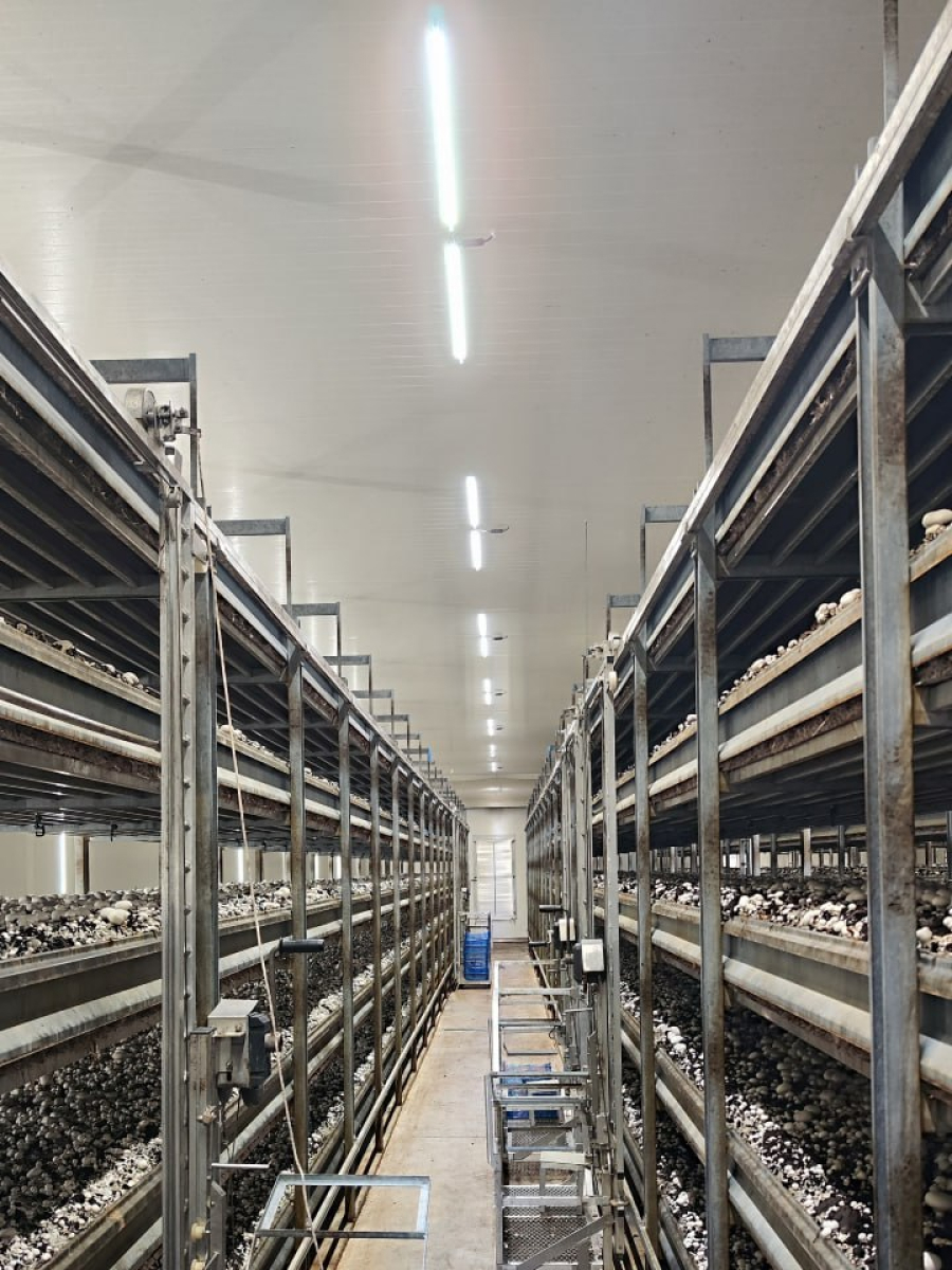 Высокие эксплуатационные и светотехнические характеристики светильников обеспечивают повышение качества готовой продукции